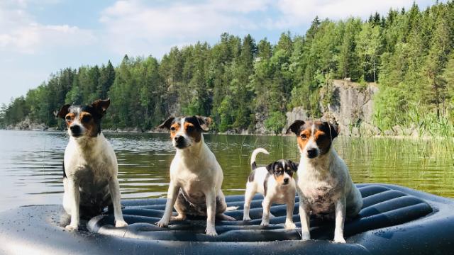 Generelle henvendelser