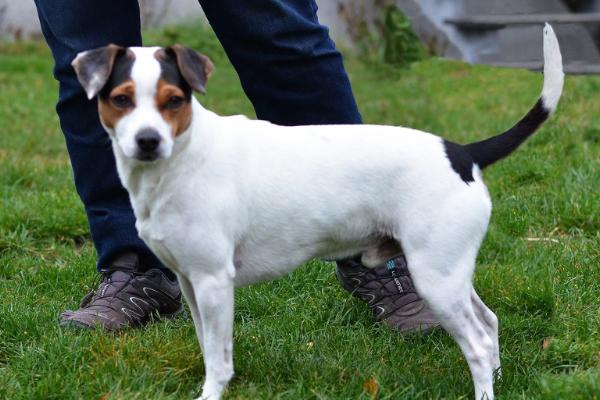 RUSSLA'VAENGA I-GUD DEMETER