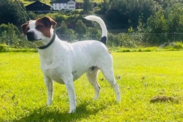 LILLE-LO'S ÆCTION HERO LUKAS