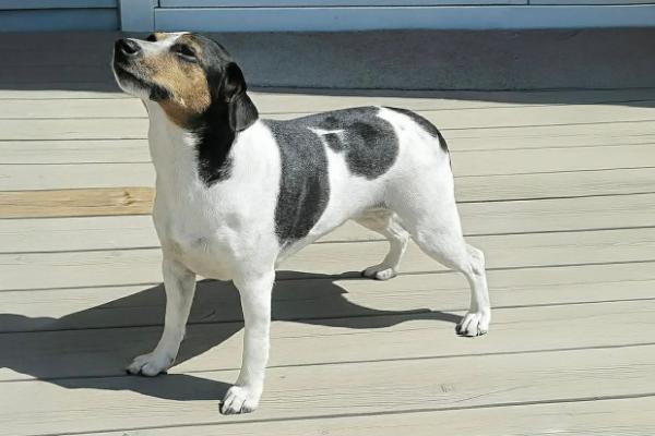 MARGIT MAA FAA SISTE ORDET