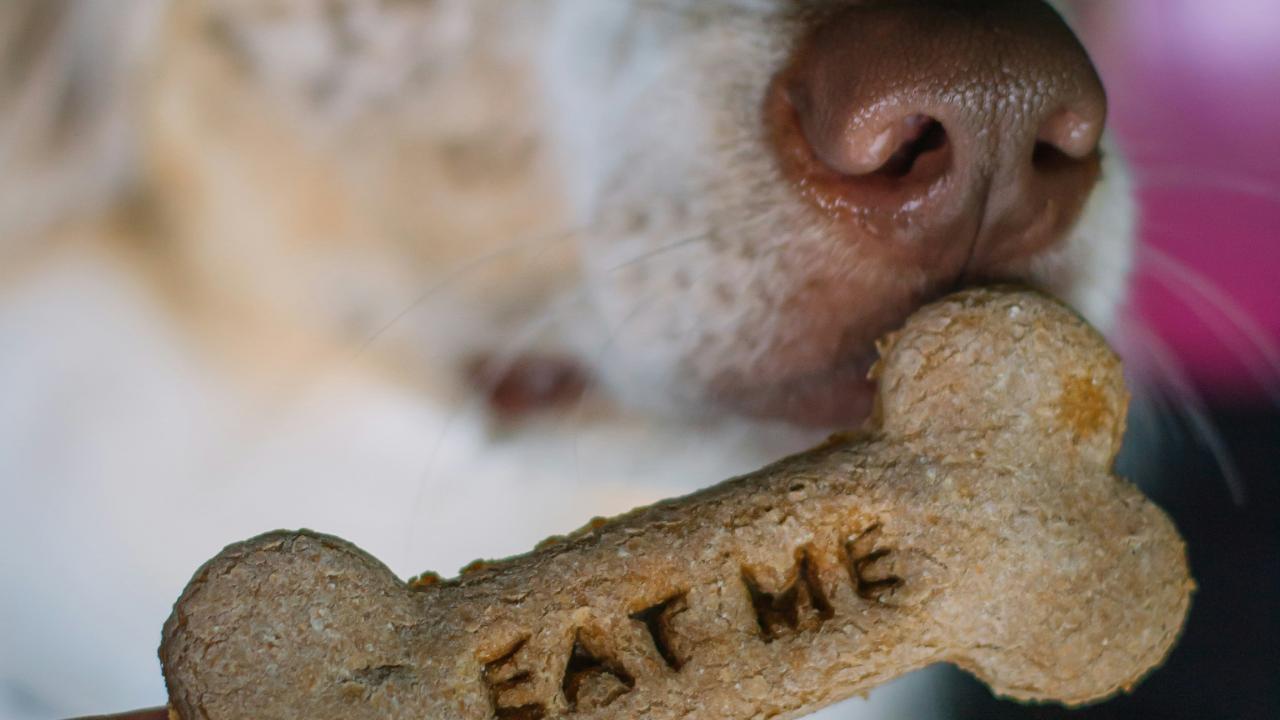 Cookie policy