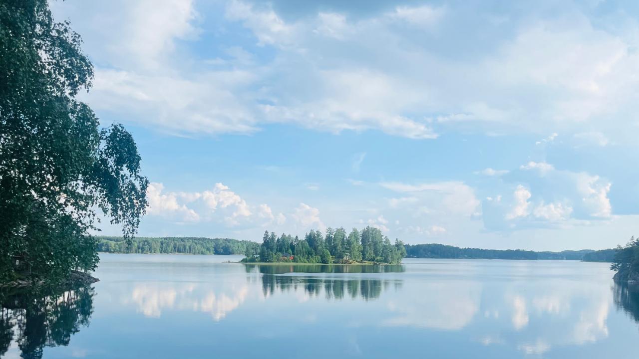 Protokoll årsmøte 2025