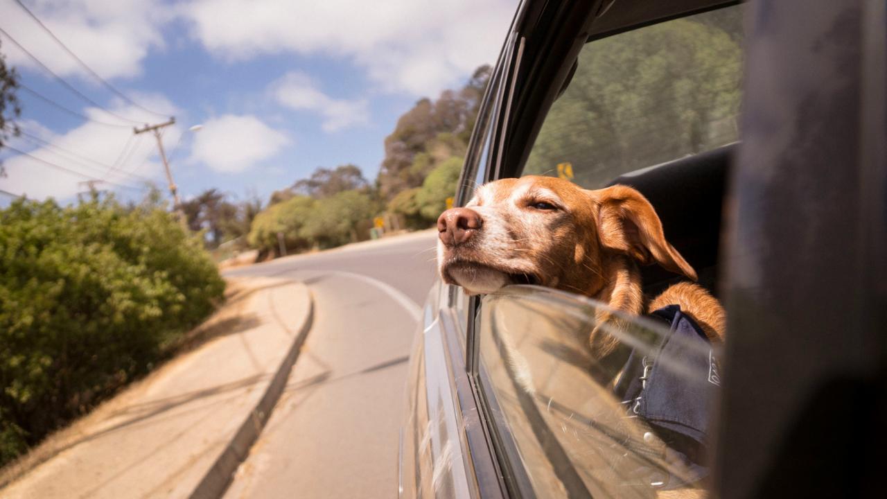 Innkalling til årsmøte