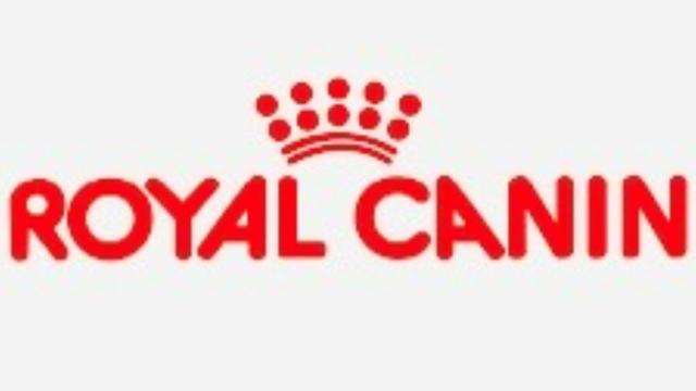 Reproduksjonswebinar