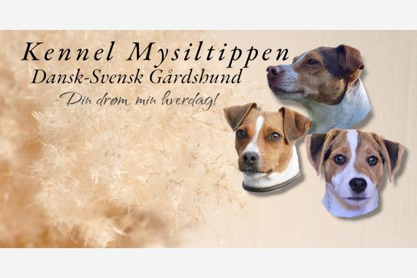 Mysiltippen